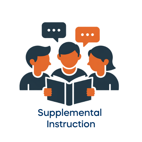 Supplemental Instruction